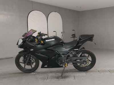 Kawasaki Ninja 250R