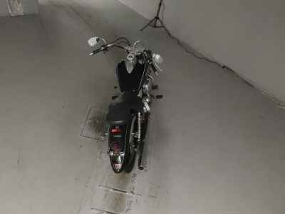 Yamaha XVS250 Drag Star