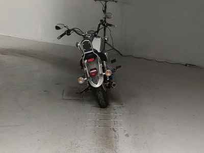 Yamaha XVS250 Drag Star 2007