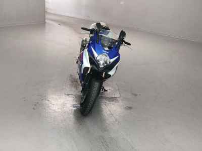 Suzuki GSX-R1000 2007