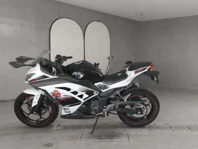 Kawasaki Ninja 250