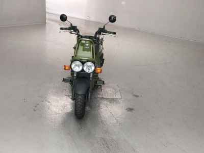 Honda PS250 Big Ruckus 2006