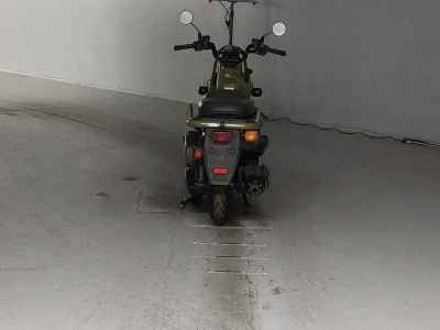 Honda PS250 Big Ruckus 2006