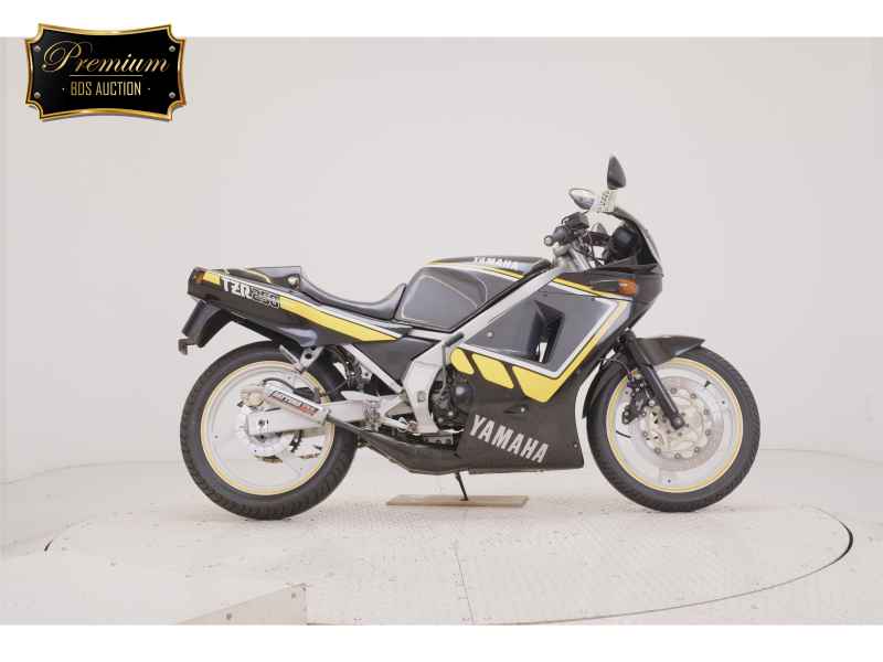 Yamaha TZR250
