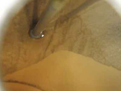 Harley-Davidson Low Rider FXSB1340 2021