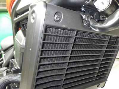 Honda Rebel CMX1100 2025