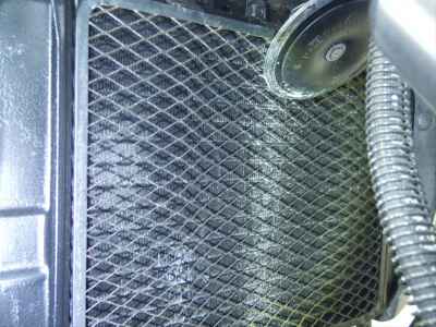 Kawasaki Balius ZR250