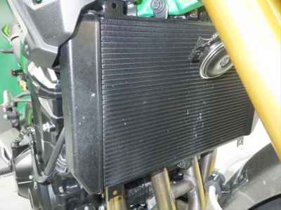 Kawasaki Z900 SE 2025