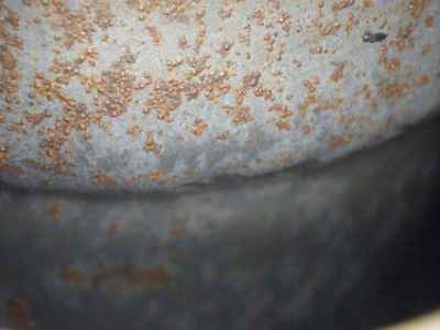 Kawasaki Super Sherpa