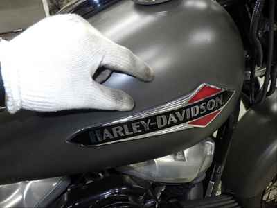 Harley-Davidson Slim FLSL1750 2018