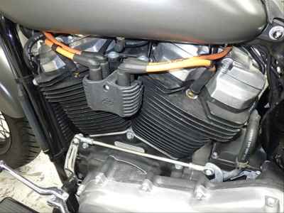 Harley-Davidson Slim FLSL1750 2018