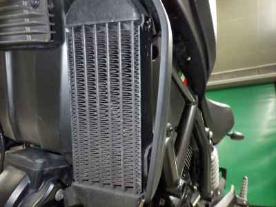 Ducati Scrambler Icon 2020