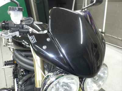 Triumph Speed Triple 1050 2005