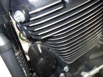 Harley-Davidson Sport Glide FLSB1750 2019