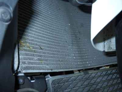 Kawasaki Ninja ZX-10R 2023