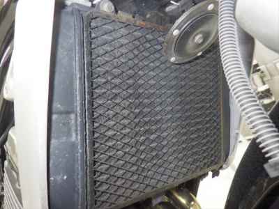 Kawasaki Balius ZR250