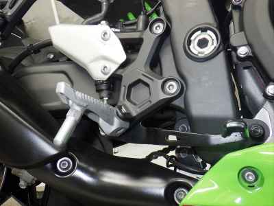 Kawasaki Ninja ZX-4RR 2024