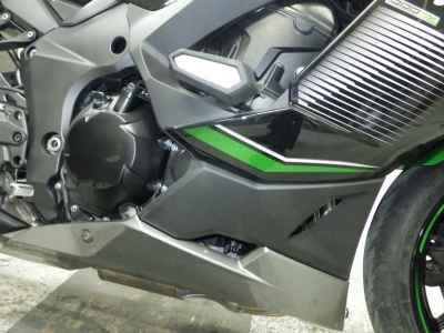 Kawasaki Ninja 1000 2024