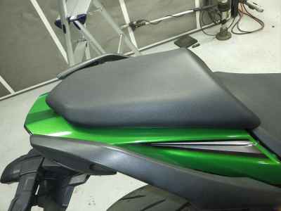 Kawasaki Ninja 1000 2024