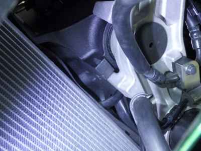 Kawasaki Ninja 1000 2024