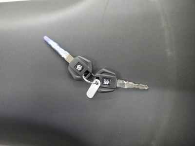 Suzuki V-Strom 250SX