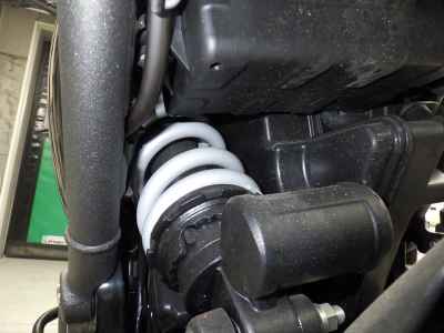 Triumph Speed 400 2024