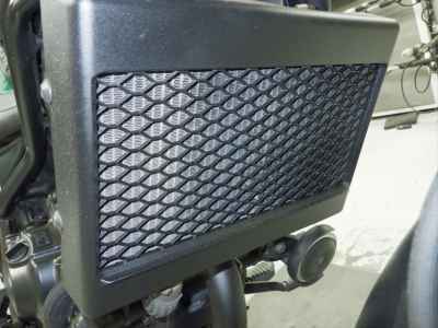 Honda Rebel CMX250 2019