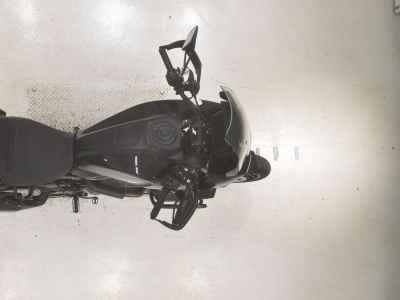 Harley-Davidson Pan America 1250 Special 2022