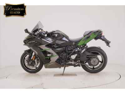 Kawasaki Ninja H2 SX 2024