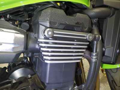 Kawasaki ZRX1200 Daeg 2017