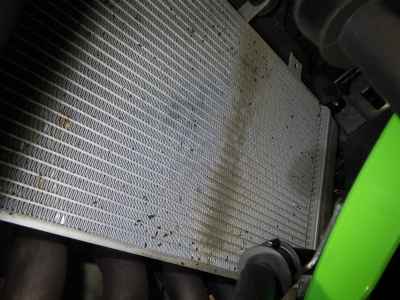 Kawasaki Ninja ZX-4RR 2023