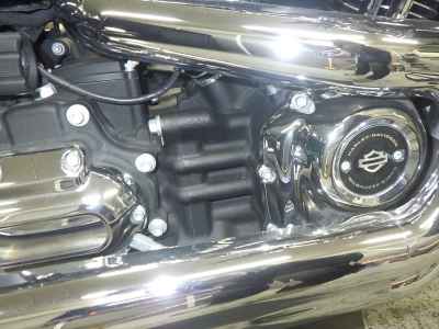 Harley-Davidson Sport Glide FLSB1750 2020