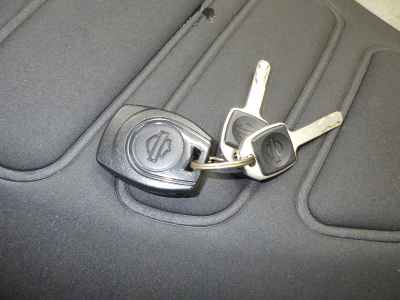 Harley-Davidson Pan America 1250 Special 2021