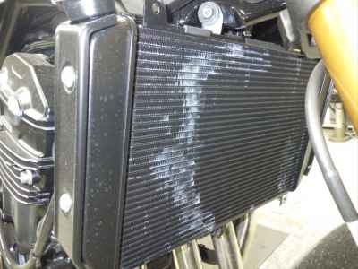 Kawasaki Z900RS SE 2024