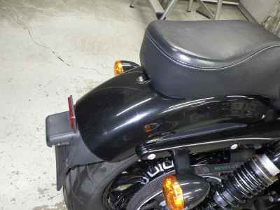 Harley-Davidson Sportster Forty-Eight XL1200X 2020