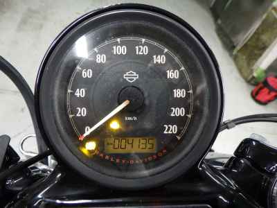 Harley-Davidson Sportster Forty-Eight XL1200X 2020