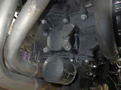 Kawasaki Z900RS 2019