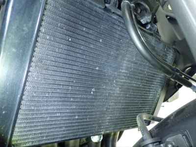 Honda CB1000 Hornet 2025