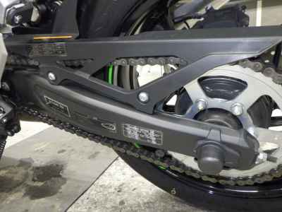 Kawasaki Ninja ZX-4RR 2024