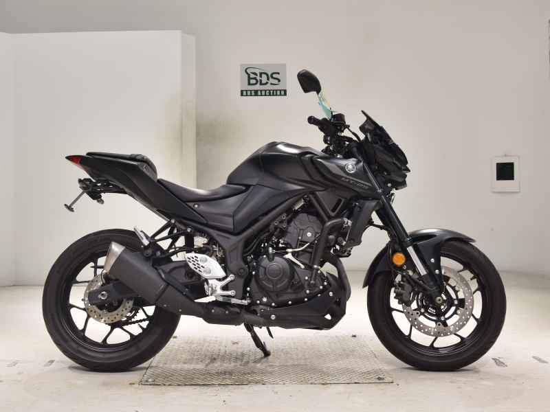 Yamaha MT-25 2022
