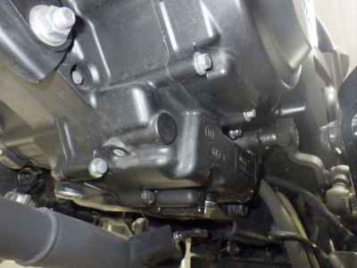 Honda Rebel S CMX250 2022