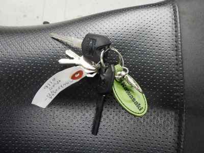 Kawasaki Versys-X 250