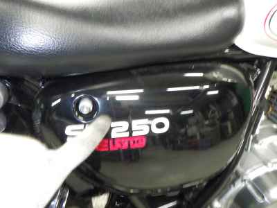 Suzuki ST250E