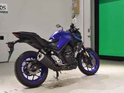 Yamaha MT-25 2022