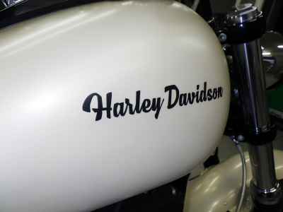 Harley-Davidson Fat Bob FXDF1580 2014