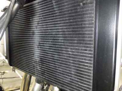 Kawasaki Z900RS 2024