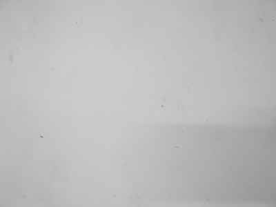 Kawasaki Z900RS 2024