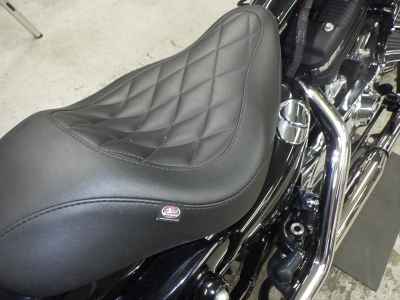 Harley-Davidson Sportster Forty-Eight XL1200XS 2020