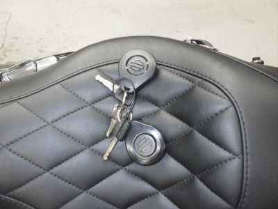 Harley-Davidson Sportster Forty-Eight XL1200XS 2020