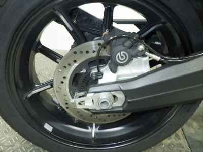 Ducati Scrambler 1100 2023